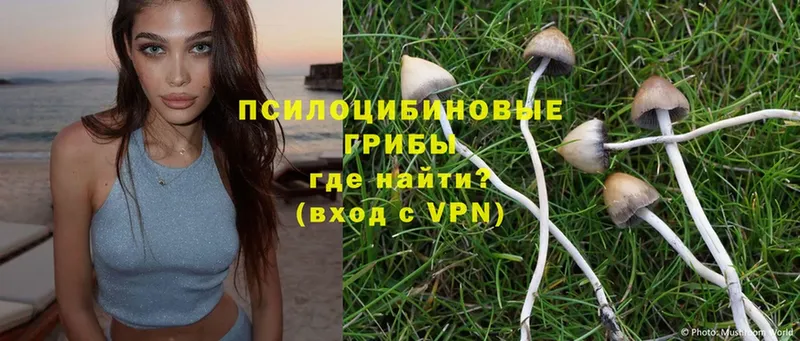 Галлюциногенные грибы Magic Shrooms  даркнет состав  Тетюши 